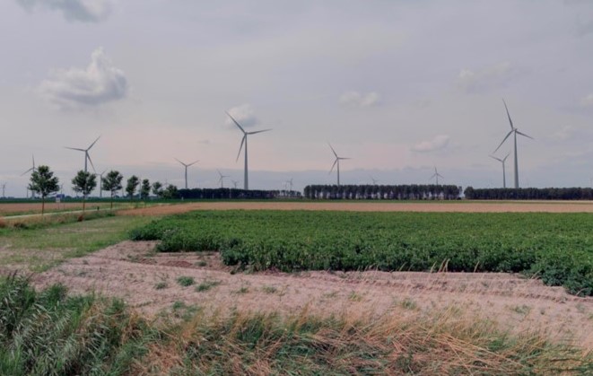 Eurus Energy and YARD ENERGY to Build Three Wind Farms Totaling 155 MW in Groningen, the Netherlands